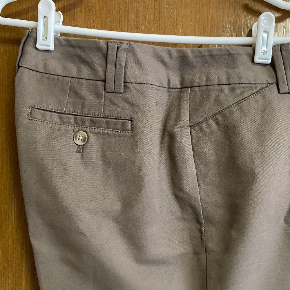 Ann Taylor Crop Casual Dress Pants